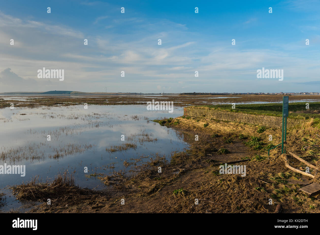 Alta Marea a Burrows Marsh Foto Stock