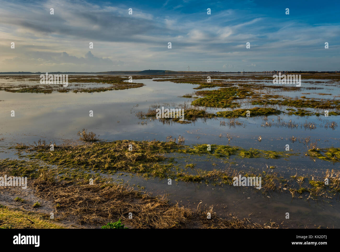 Alta Marea a Burrows Marsh Foto Stock