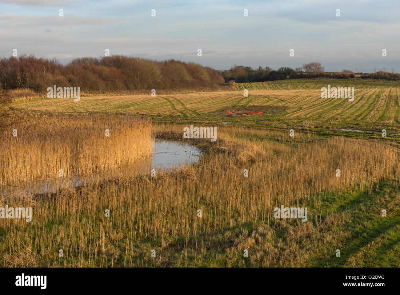 Diga di marea nei pressi di rivestire pareti Stalmine fattoria Foto Stock