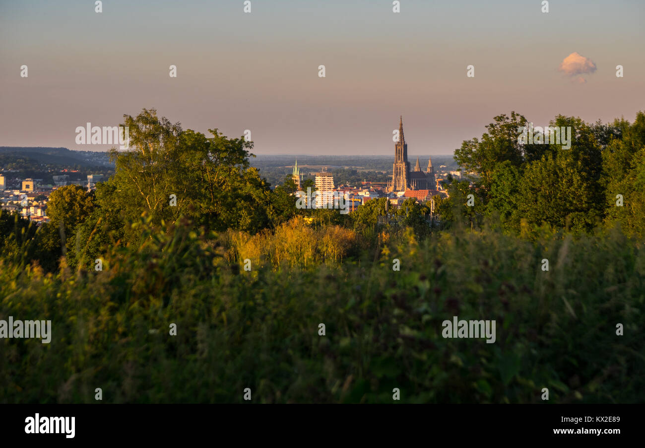 Vista sull'Ulm Minster dall kuhberg Foto Stock
