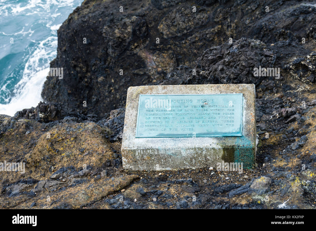 La placca per spiegare le corna di insufflazione del foro di sfiato in Depoe Bay, Oregon Foto Stock