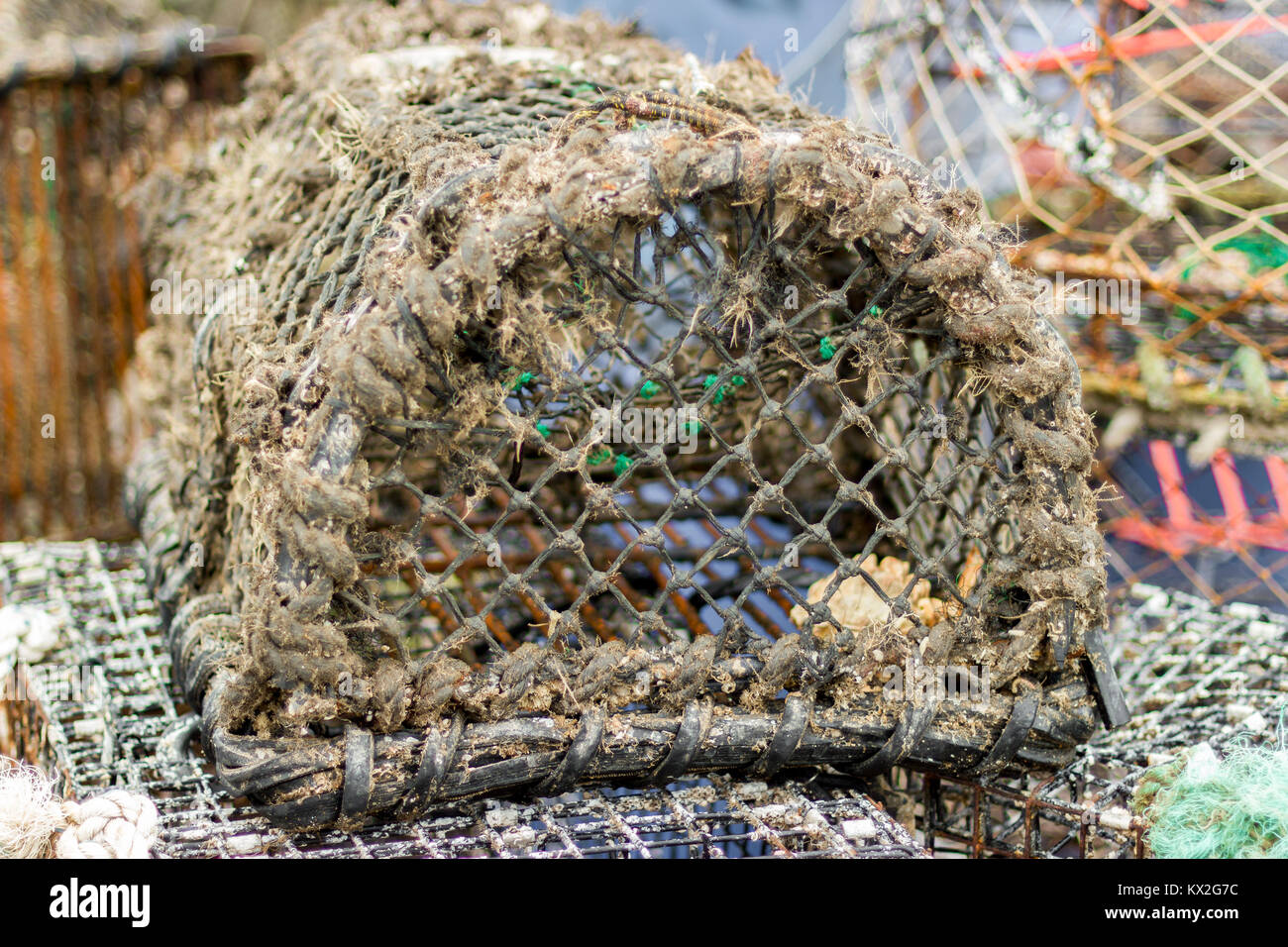 Il granchio cestelli impilati sul dock, West Bay, DORSET REGNO UNITO Foto Stock