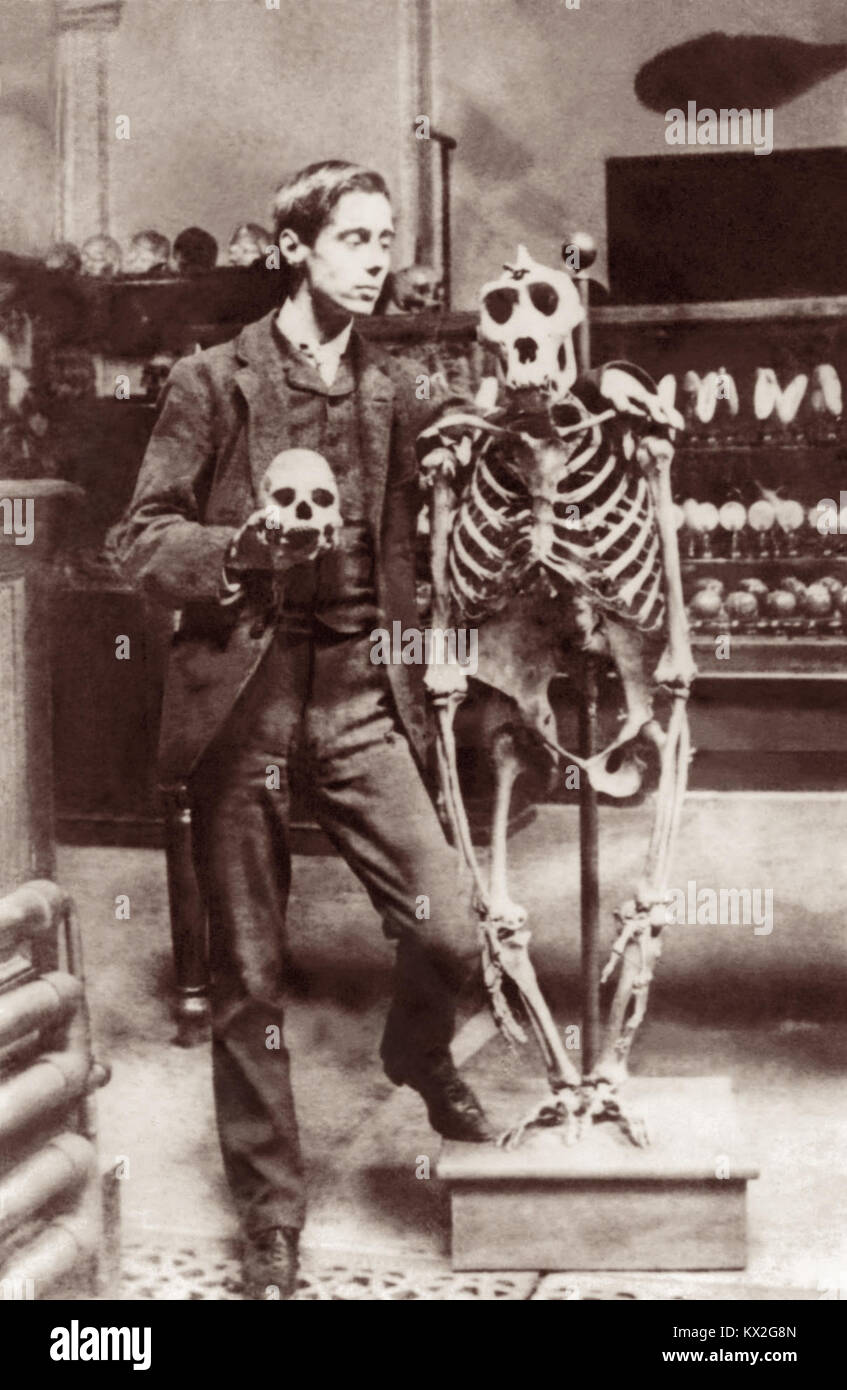 Giovani H.G. Pozzetti (1866-1946) in posa con il cranio e lo scheletro di gorilla. Foto circa metà 1880, probabile mentre studiando Biologia alla Scuola Normale di scienza (più tardi il Royal College of Science in South Kensington) a Londra sotto Thomas Henry Huxley. Foto Stock