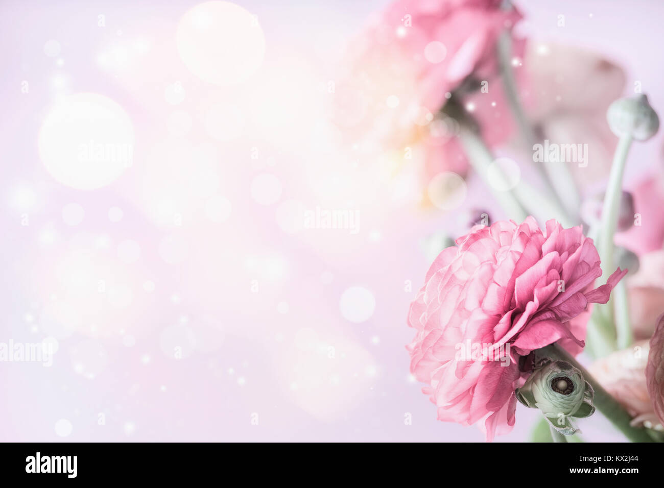 Rosa pastello floreale confine con sfondo bokeh ranuncolo e fiori Foto Stock