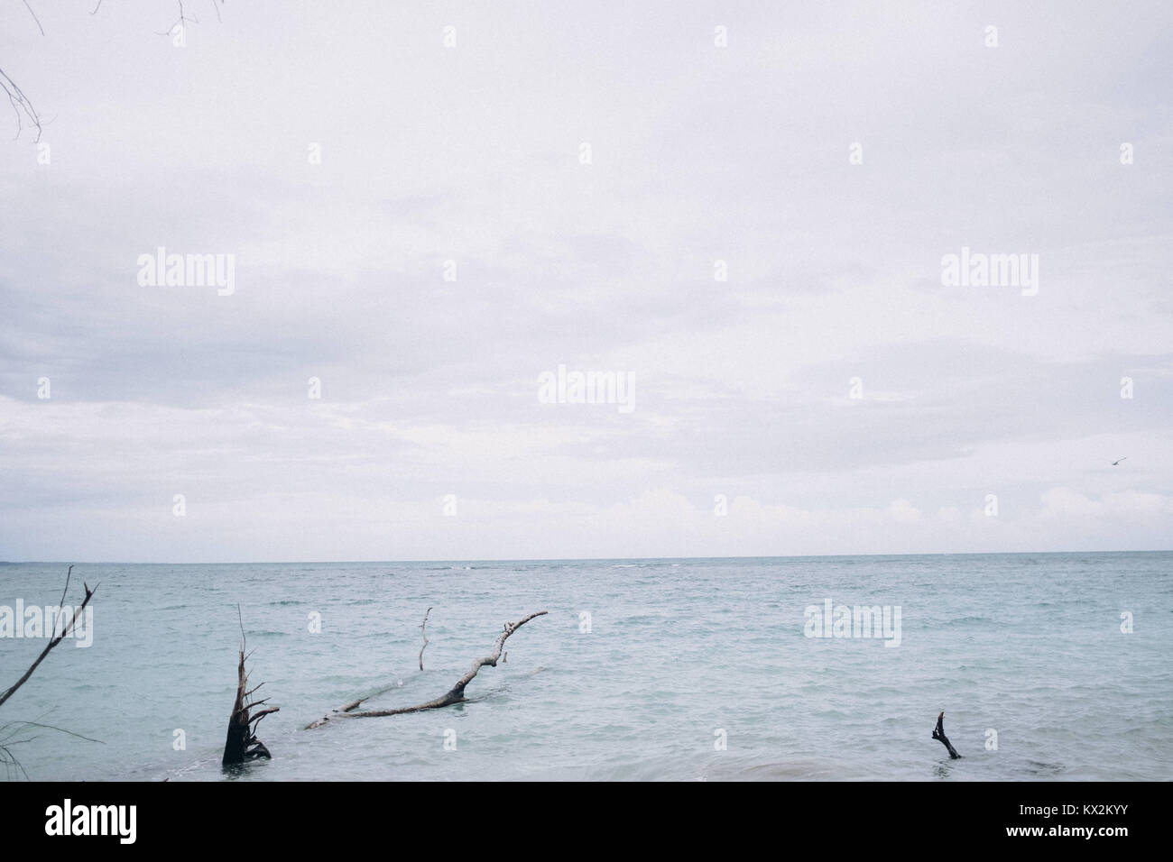 Oceano al Parco Nazionale Cahuita, Cahuita, Limón, Costa Rica. Foto Stock