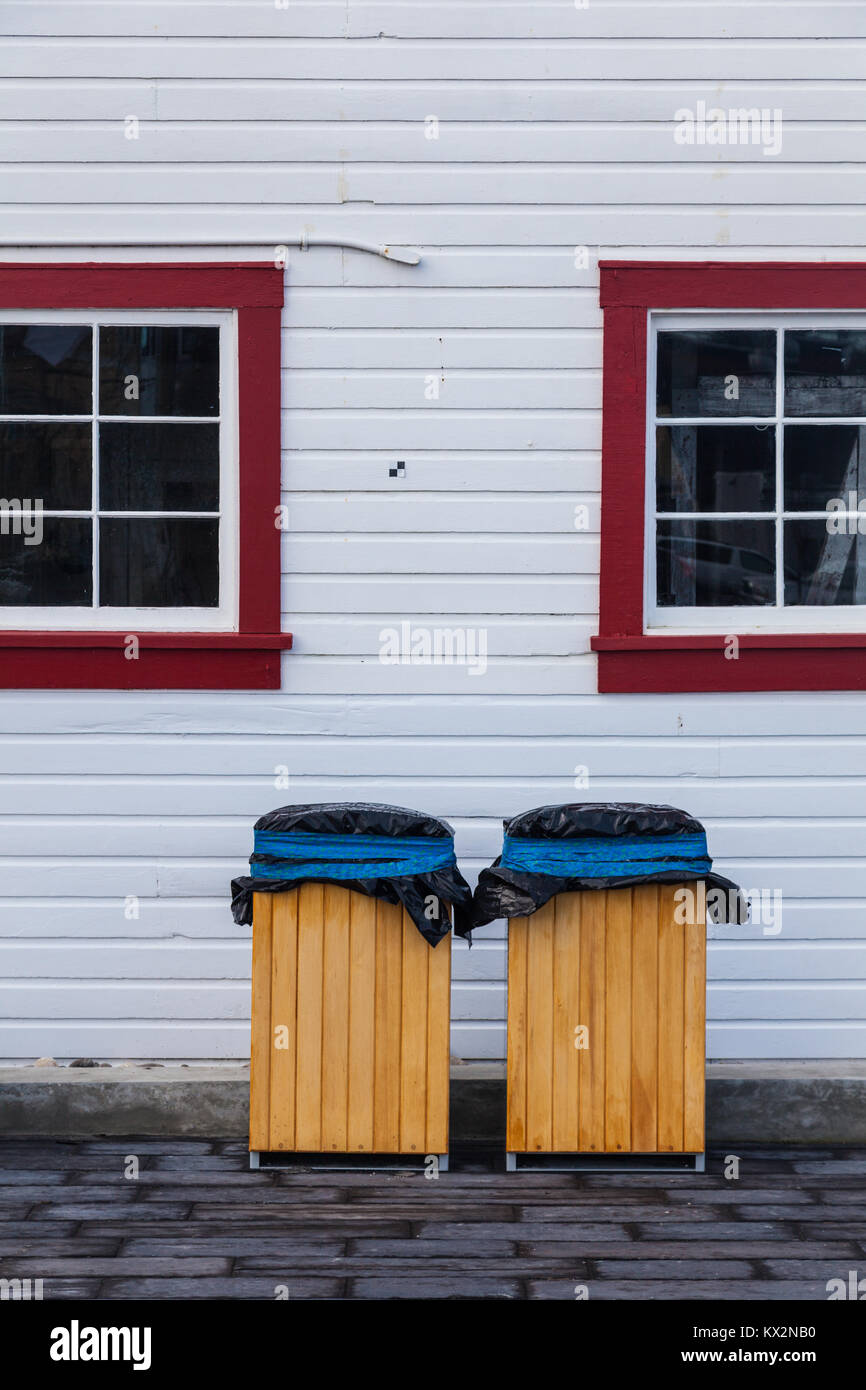 Bidoni spazzatura e mobili vari posti all'interno di ampio garage con muri  di legno in casa Foto stock - Alamy