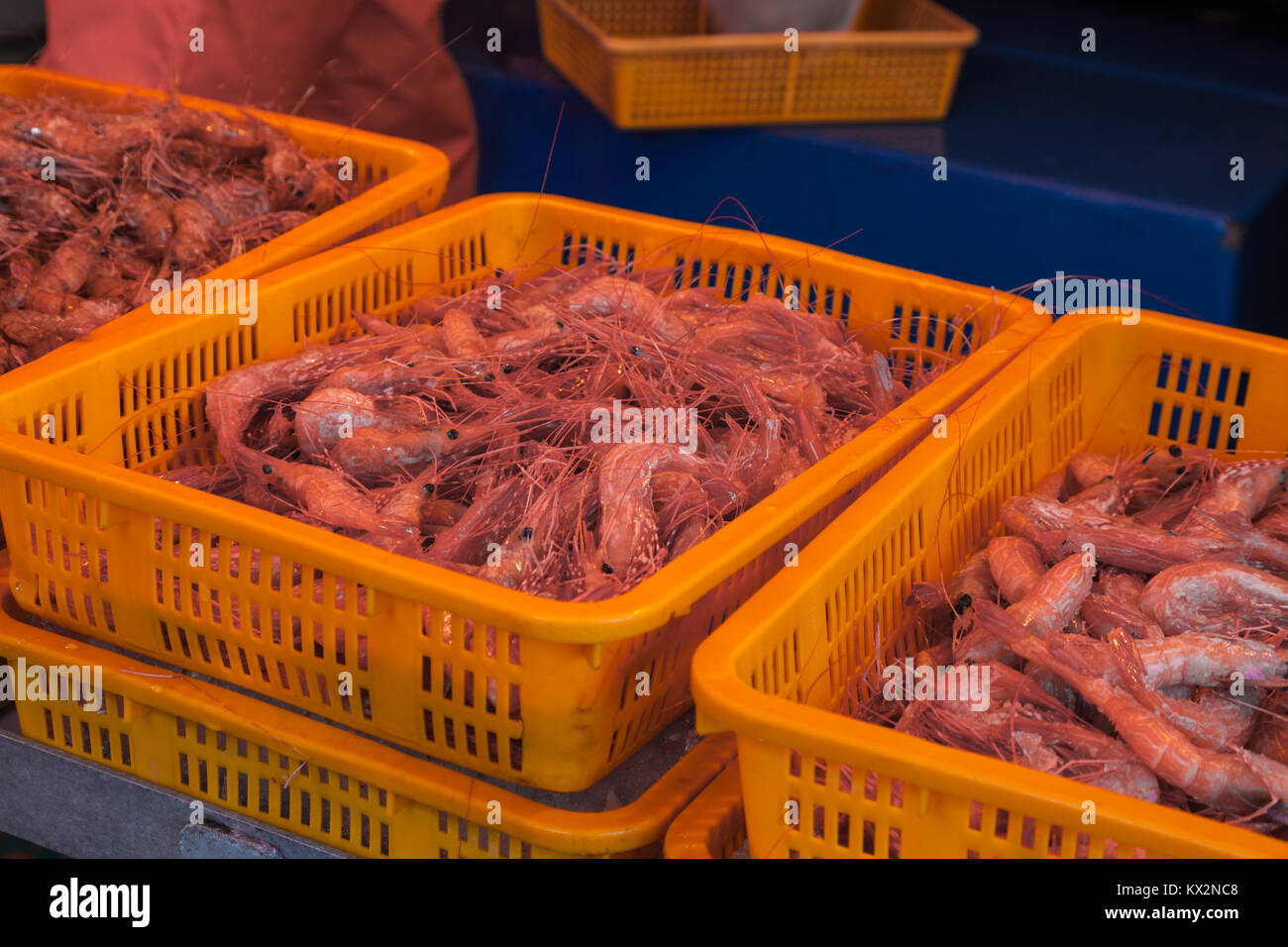 Gamberetti freschi in vendita presso il Fishermans Wharf in Steveston, British Columbia, Foto Stock