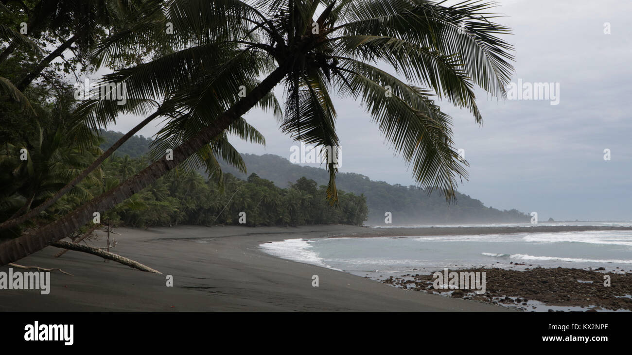 Escursionista sulla spiaggia Corcovado National Park Costa Rica Osa Peninsula Foto Stock