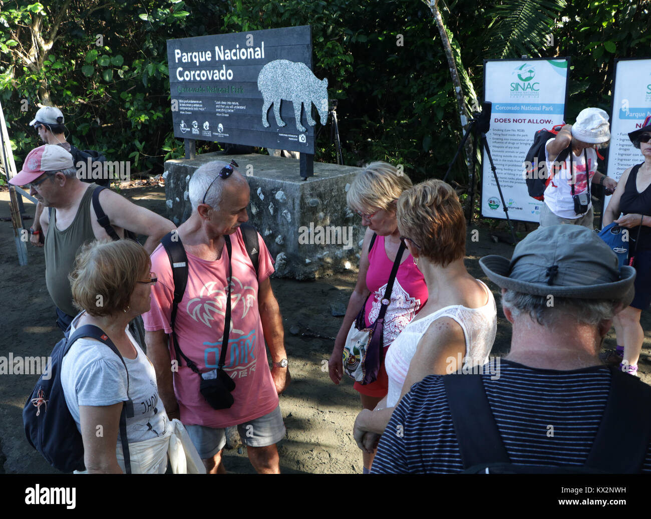 Barca di caduta off tourist Parco nazionale di Corcovado Osa Peninsula Costa Rica nel primario della foresta di pioggia. Una giungla tropicale tree Foto Stock