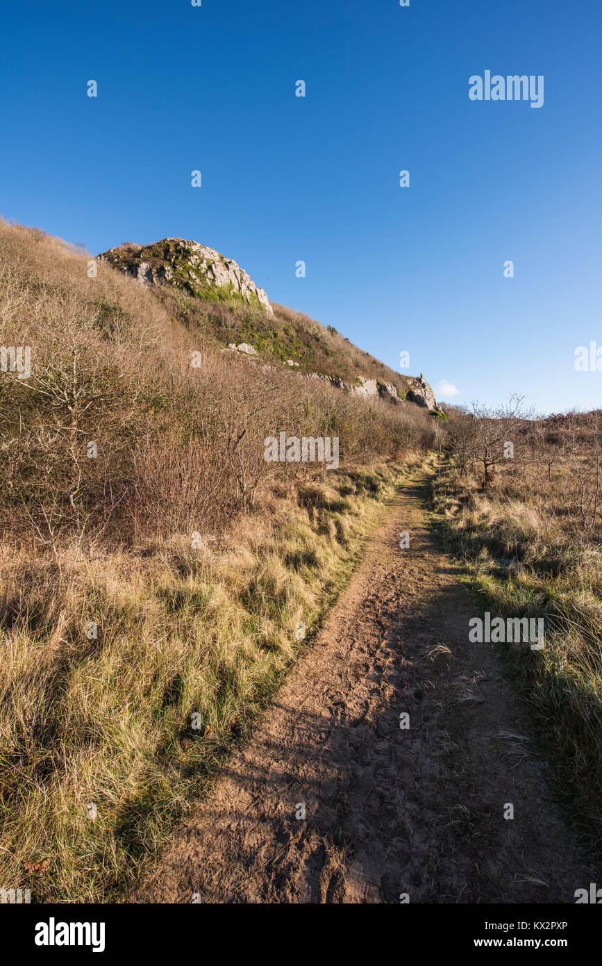 Percorsi di grande scogliera di Tor in dune di Nicholaston Burrows, Oxwich Bay, Penisola di Gower, South Wales, Regno Unito. Foto Stock