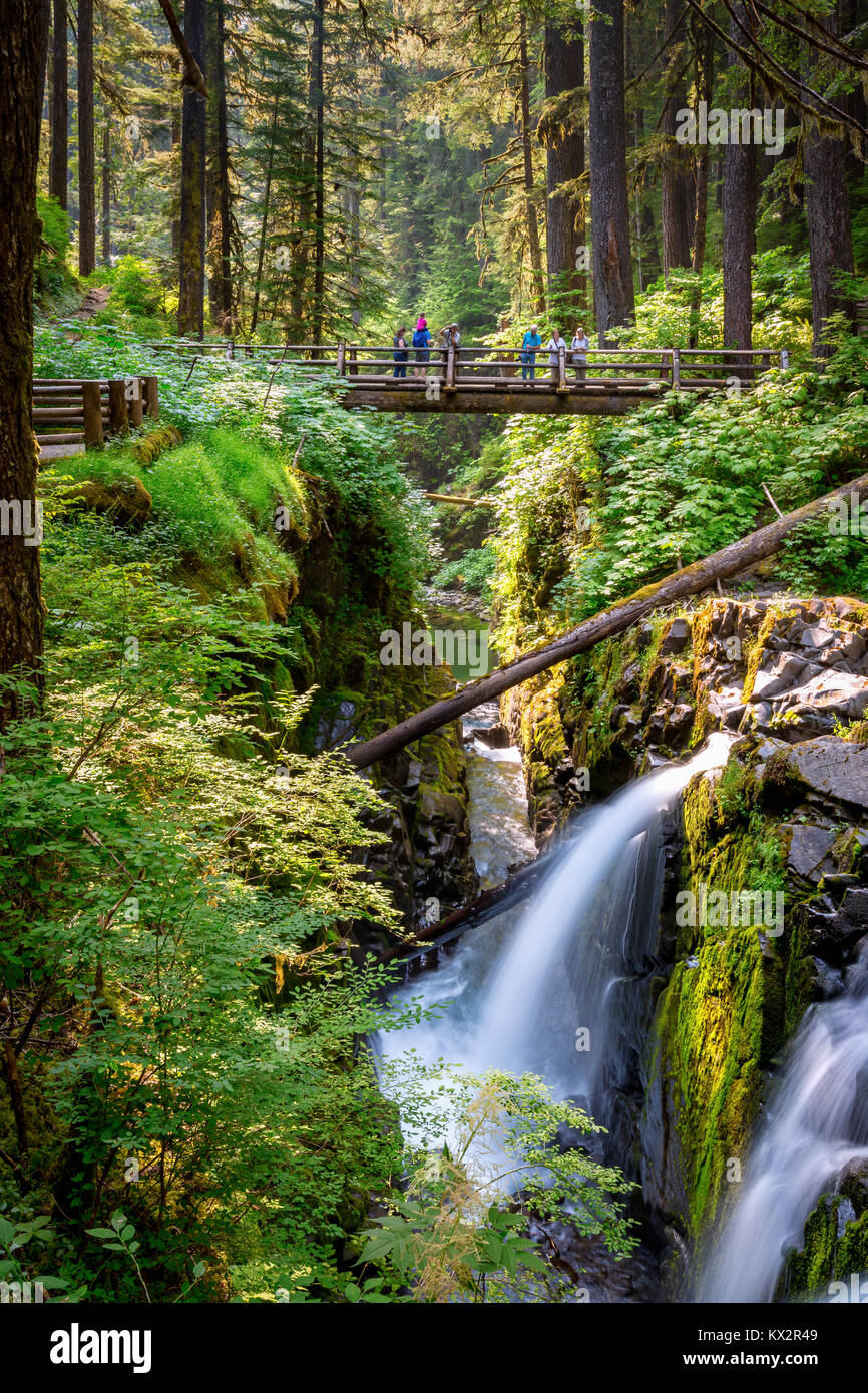 Sol Duc Falls, Sol Duc Valley, il Parco Nazionale di Olympic, Washington, Stati Uniti d'America Foto Stock