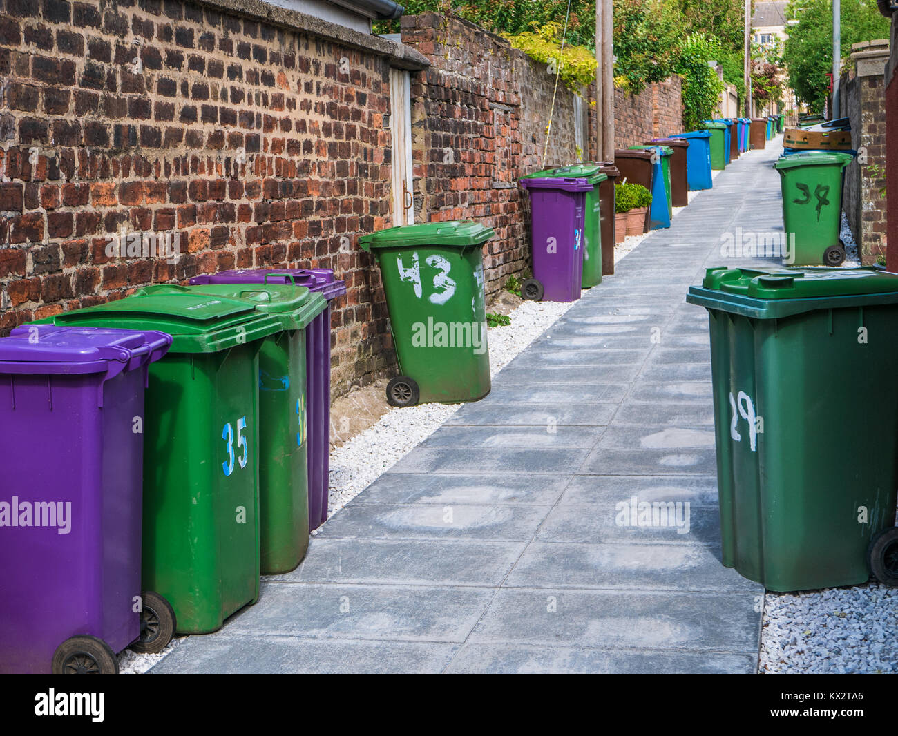 Una fila di contenitori Wheelie in un vicolo in una città britannica Foto Stock