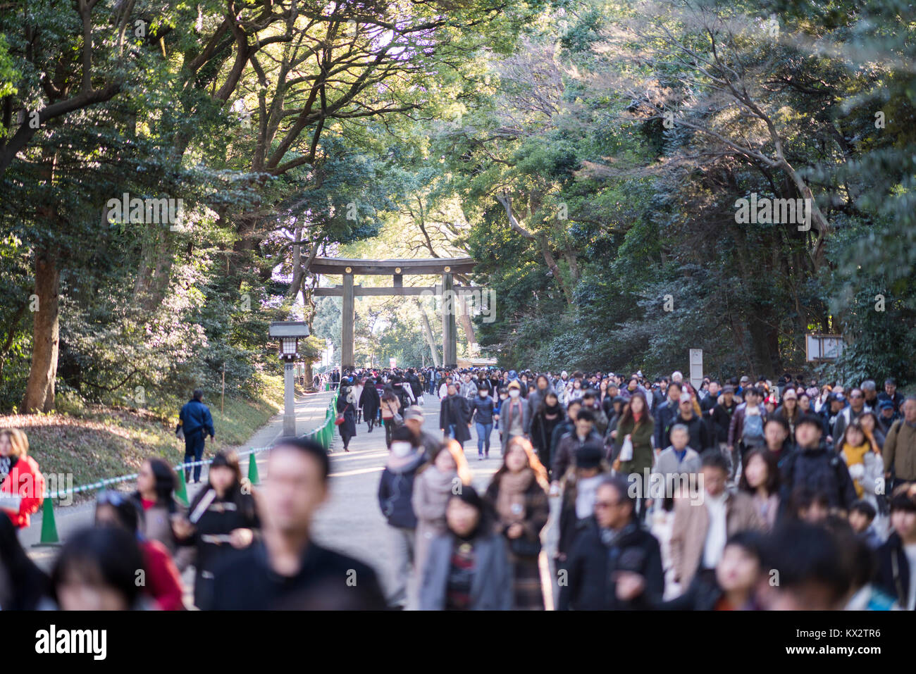 Hatsumode, Meijijingu Santuario, Shibuya, Tokyo, Giappone Foto Stock