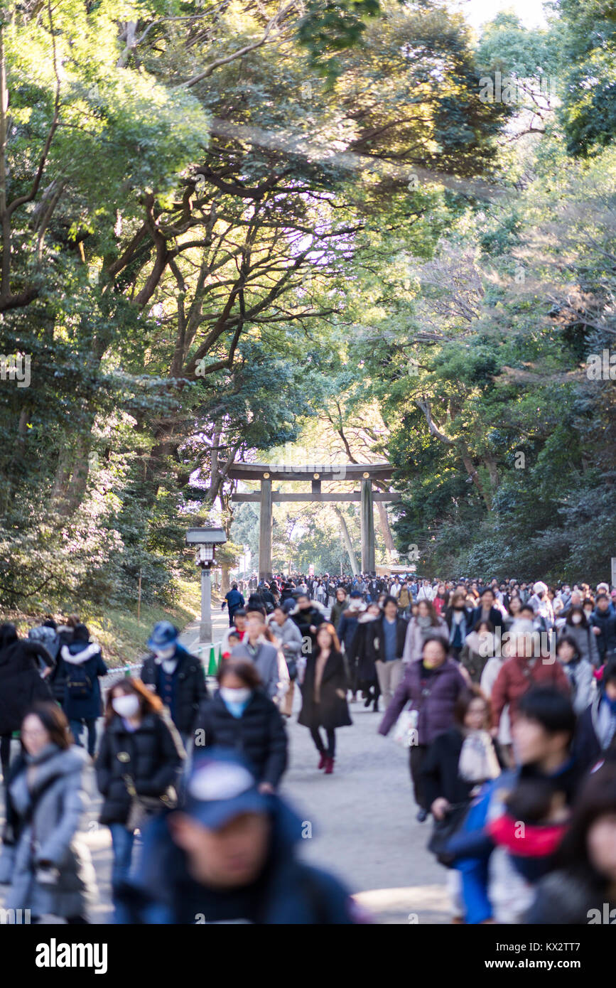 Hatsumode, Meijijingu Santuario, Shibuya, Tokyo, Giappone Foto Stock