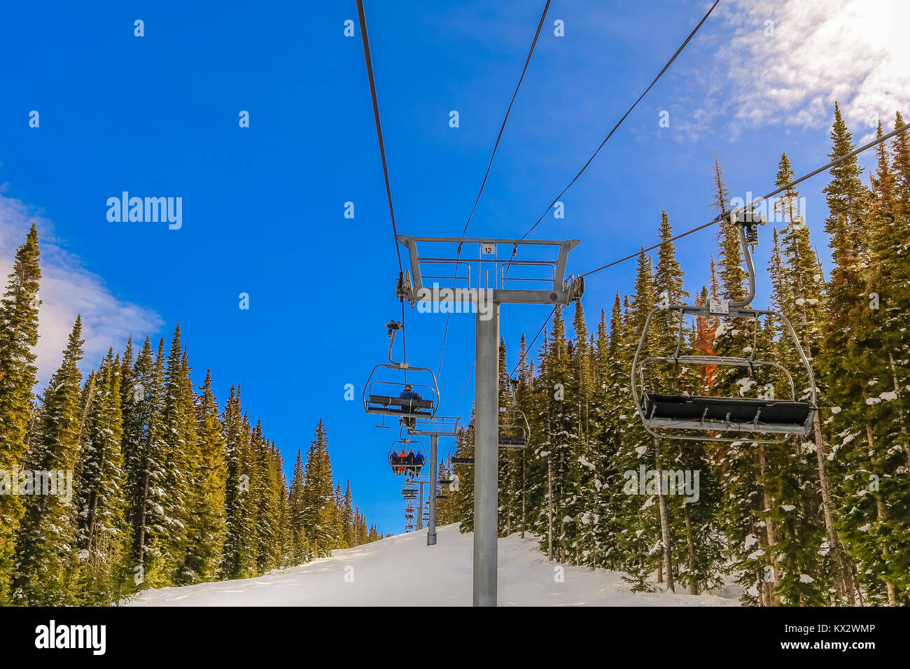 Vista del pendio di montagna con una seggiovia tenendo gli sciatori e gli snowboarder in cima; blue sky; alberi di pino su entrambi i lati; Snowmass, Colorado Foto Stock