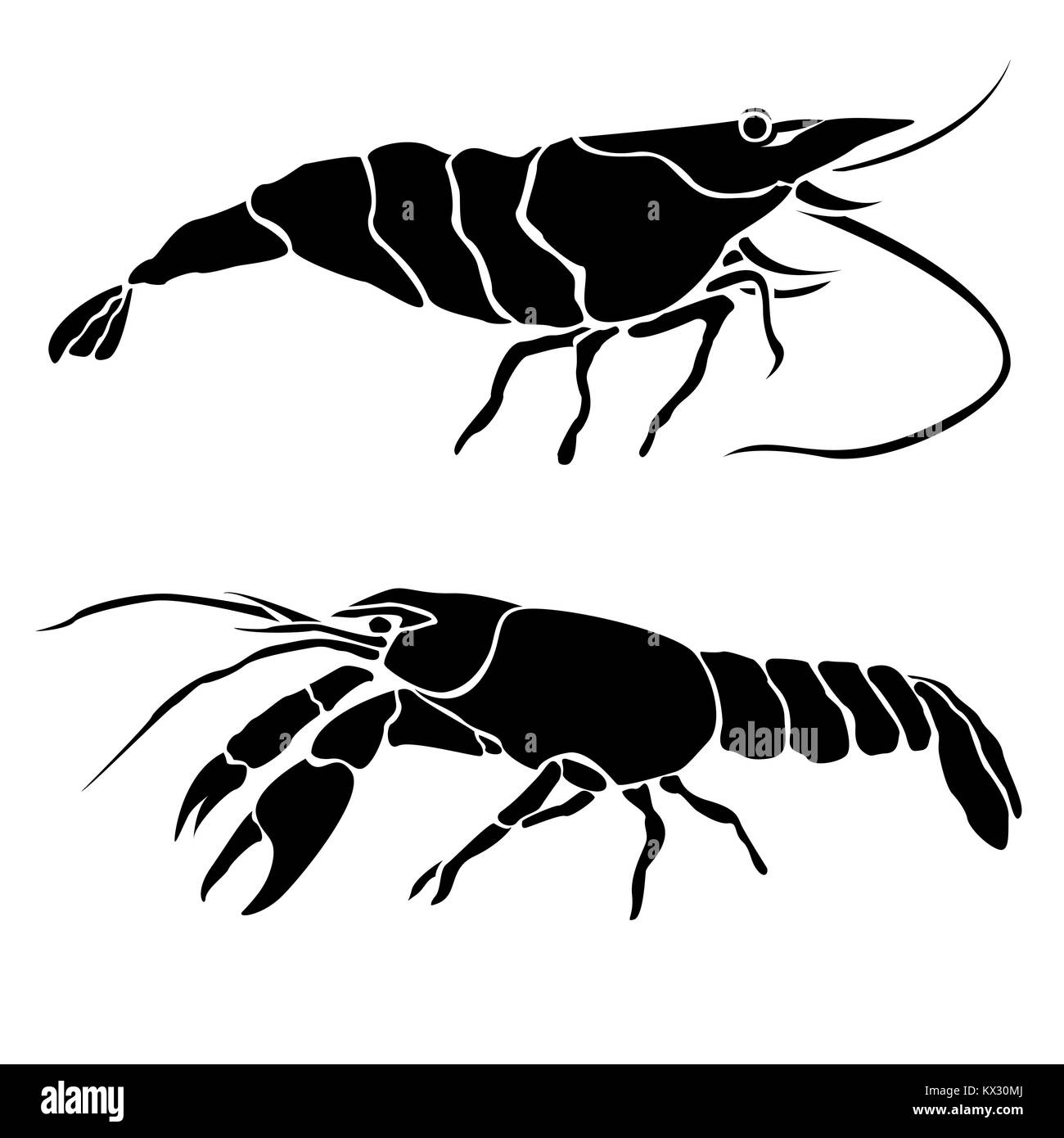 Silhouette di isolato di gamberi e gamberetti. Nero su sfondo bianco. Illustrazione Vettoriale