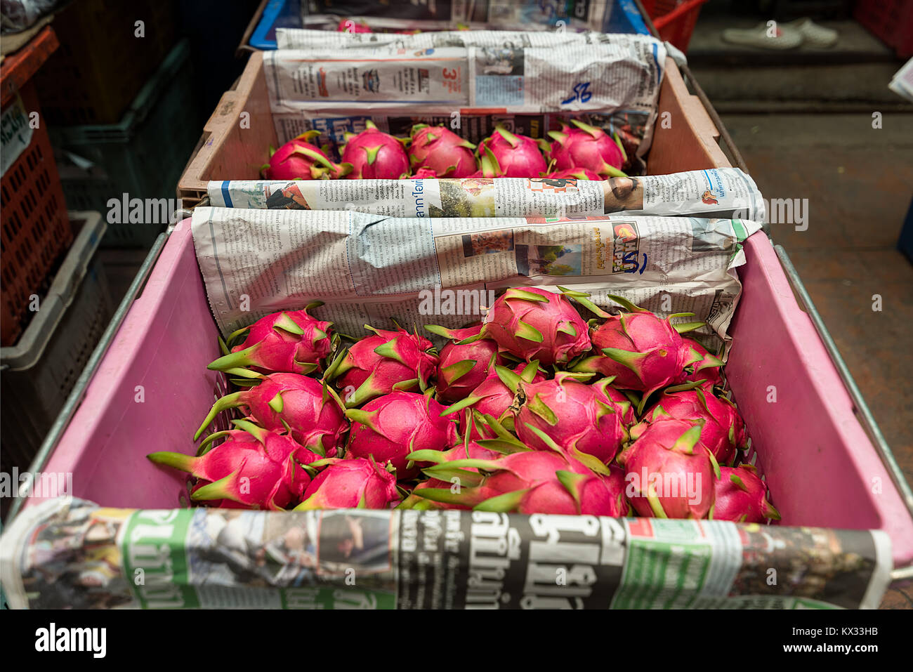 Drago fresco frutta scatolato in cassette di plastica pronto per il commercio all'ingrosso a un mercato di Bangkok. Foto Stock