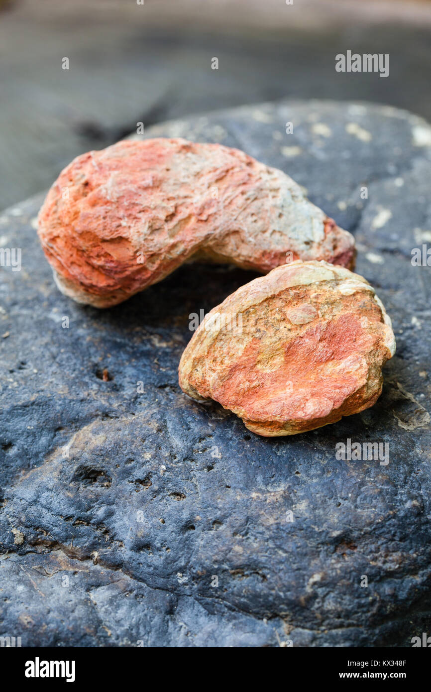 Ocra rossa rocce dal letto del fiume. Hutchinson Creek. Parco Nazionale Daintree. Queensland. Australia. Foto Stock