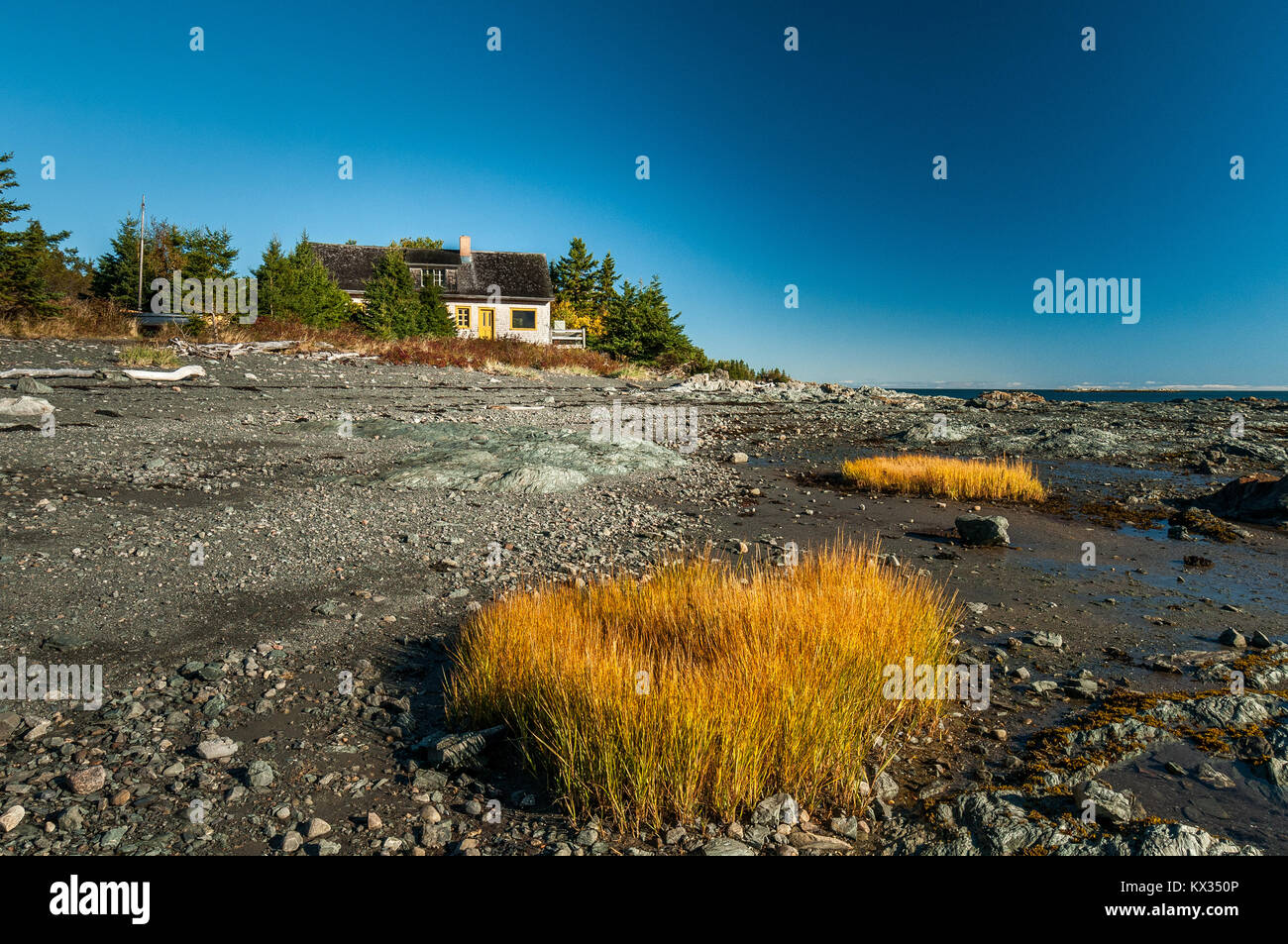 Un po' di casa bianca e gialla di ciuffi di vegetazione sulla riva del Saint Laurent nel fiume Bic Parco Nazionale con la bassa marea Foto Stock