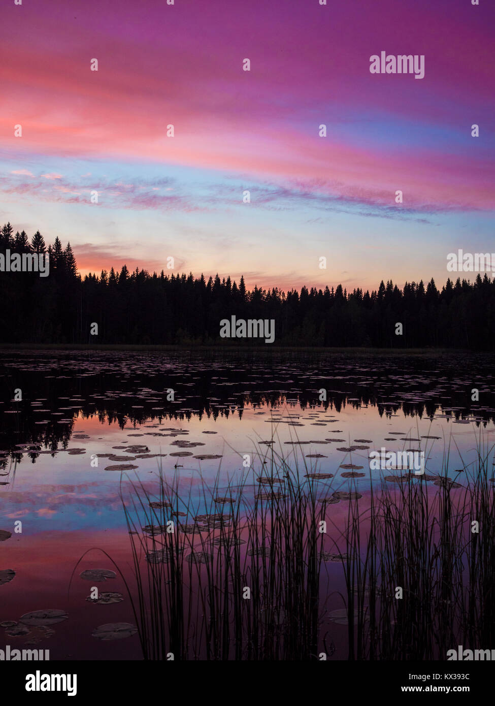 Un tramonto meraviglioso Lago Vista - Finlandia Foto Stock