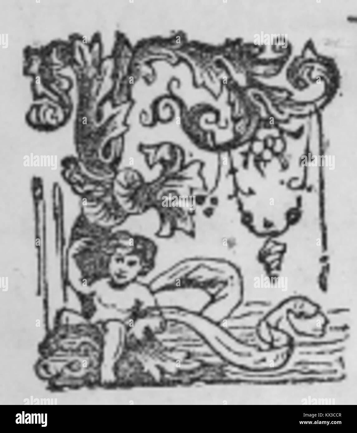 Questa immagine raffigura un tappo a goccia "e", una lettera decorativa utilizzata in tipografia per scopi artistici o di design. Foto Stock