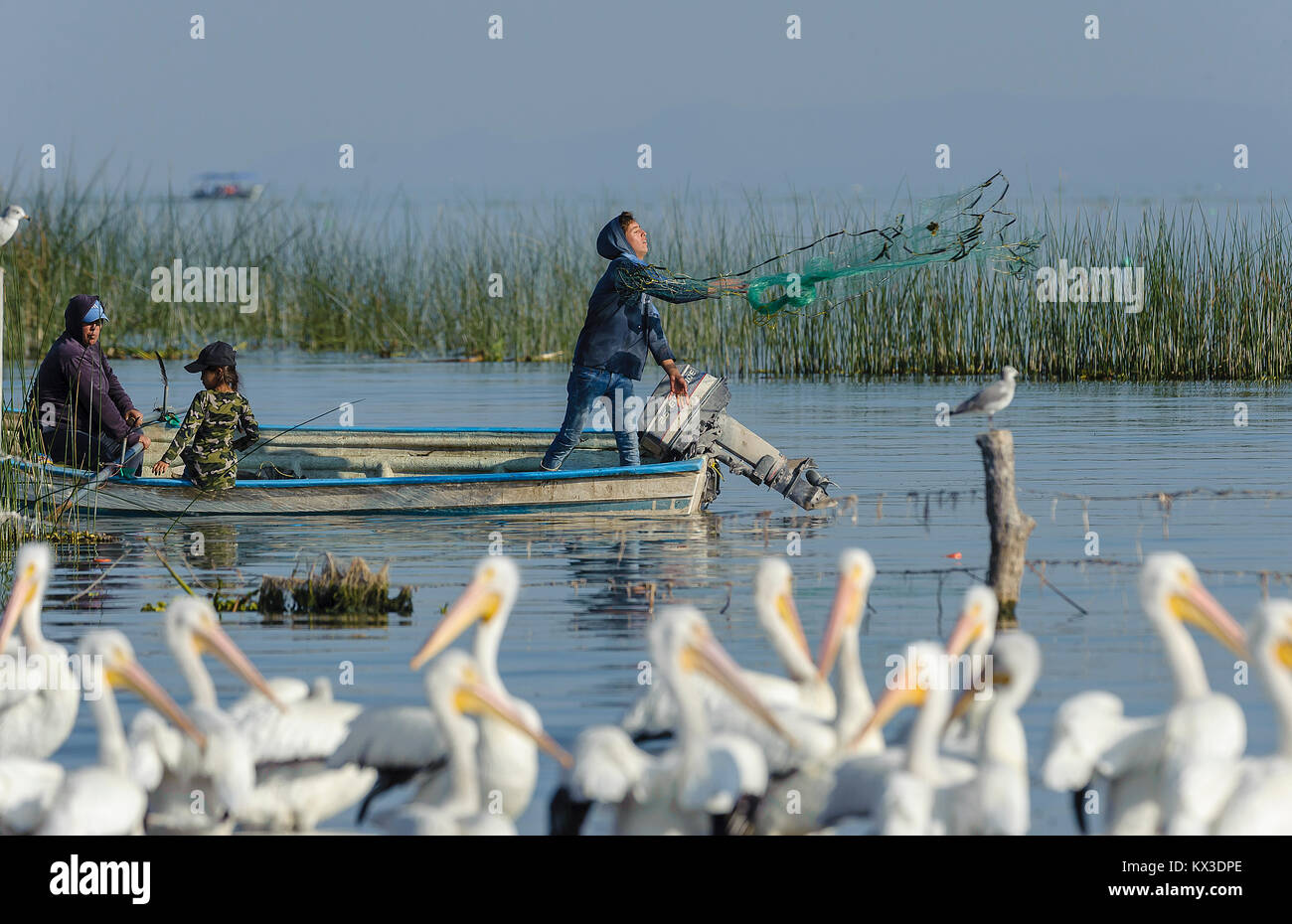 Pescatore netto di colata sul lago Chapala, Jalisco, Messico Foto Stock