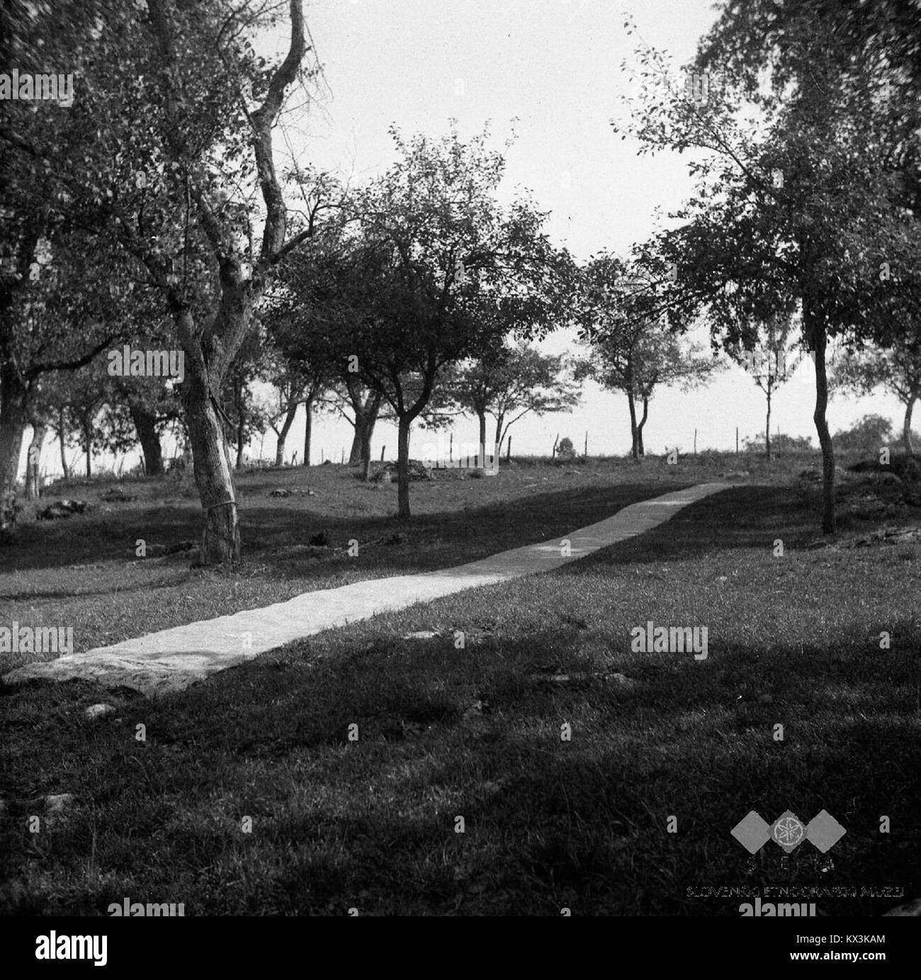 1952 fotografia del mulino ad acqua "Stant za vole kovat" vicino a Golobu, Slovenia, che illustra la tradizionale tecnologia di macinazione ad acqua e l'industria rurale. Foto Stock