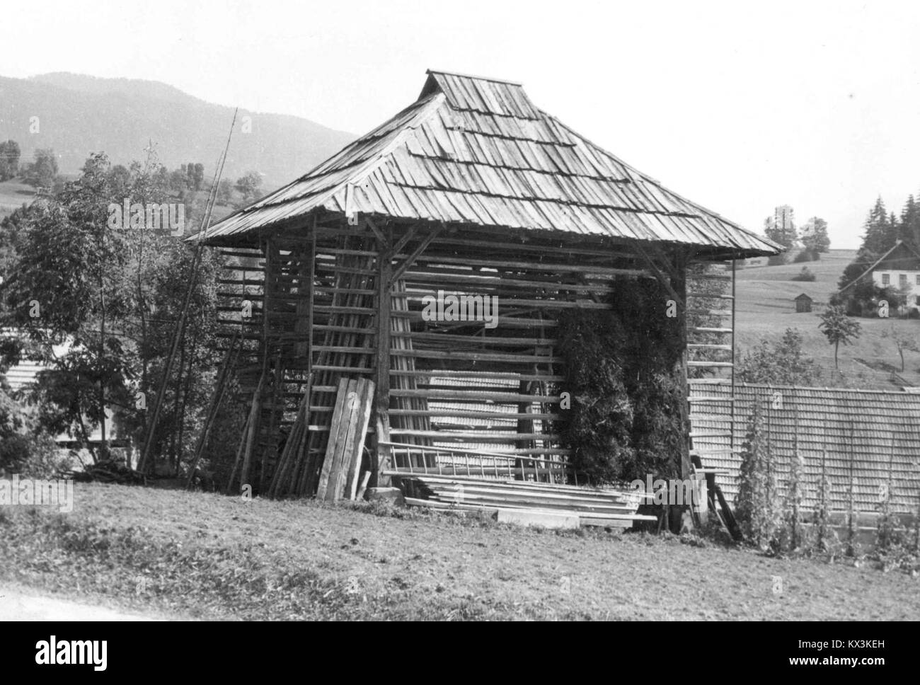 Una fotografia del 1951 di uno stog quadrato (pagliaio) a St. Paul illustra i metodi tradizionali di stoccaggio del fieno e le pratiche agricole rurali. Foto Stock