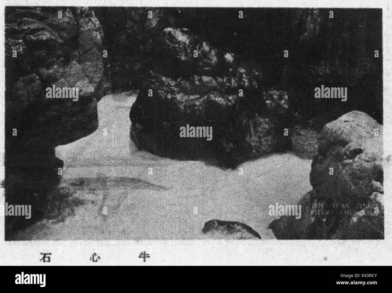 "牛心石" si riferisce a un esemplare geologico o minerale denominato, con poche informazioni disponibili per una descrizione dettagliata. Foto Stock