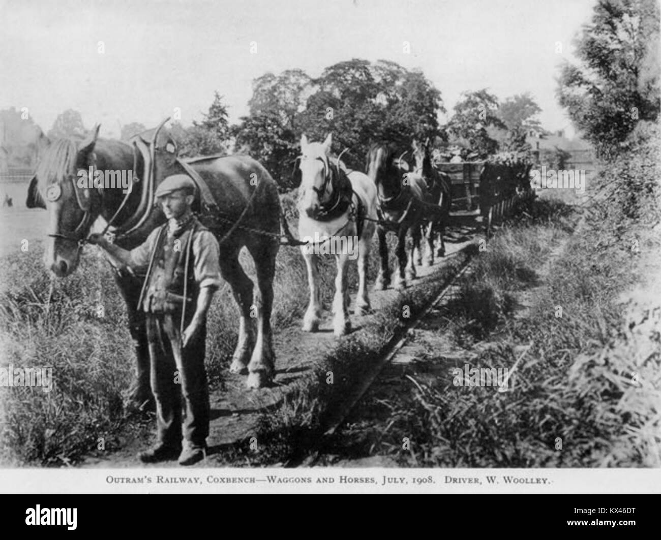 Fotografia del luglio 1908 che mostra la Derby Canal Railway con carri trainati da cavalli e autista W. Woolley, che rappresenta i primi metodi di trasporto industriale in Gran Bretagna. Foto Stock