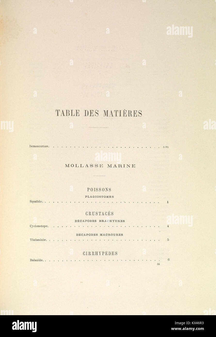 Questa pagina dell'opera di Arnould Locard del 1878 "Description de la faune de la mollasse marine et d'eau douce du Lyonnais et du Dauphiné" descrive la fauna marina e d'acqua dolce delle regioni di Lyonnais e Dauphiné, concentrandosi sulle specie presenti nelle formazioni marine delle molasse. Foto Stock