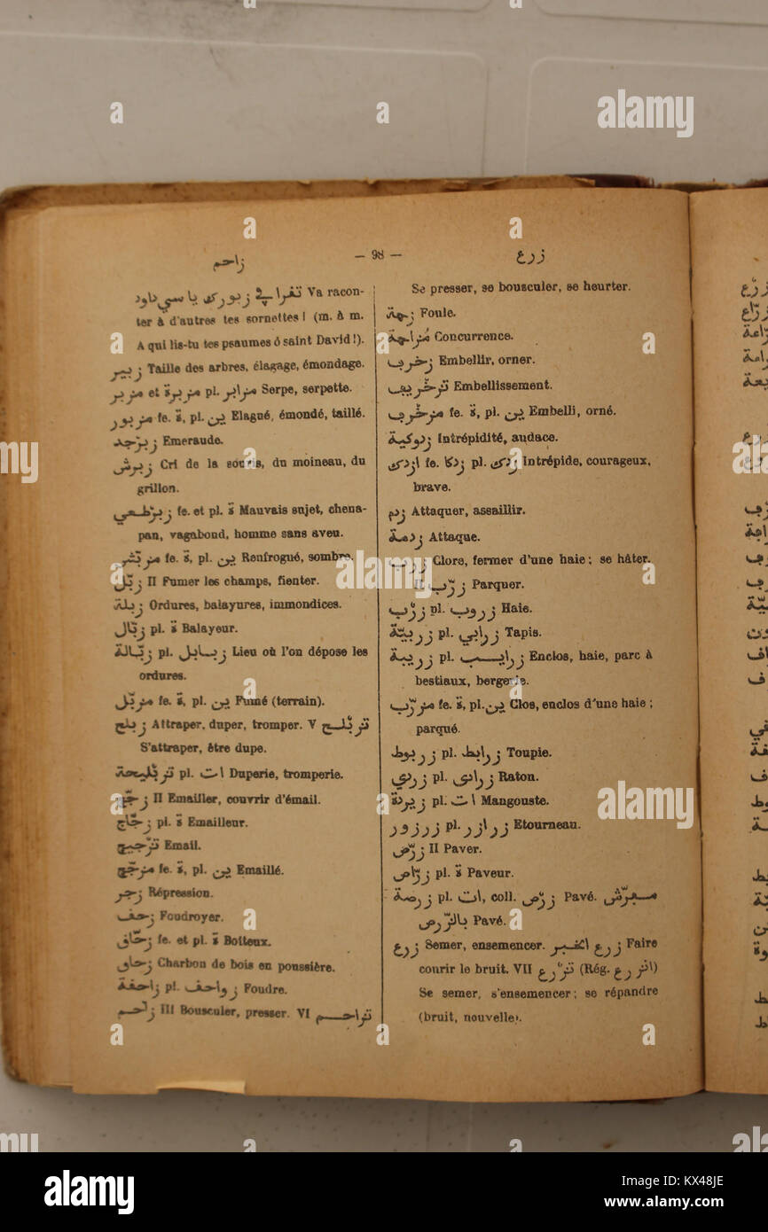 Questa immagine mostra una pagina del "Dictionnaire Arabe-francese" di Alfred Nicolas, un dizionario completo pubblicato nel 1938, che è uno strumento fondamentale per il lavoro di traduzione arabo-francese. Foto Stock