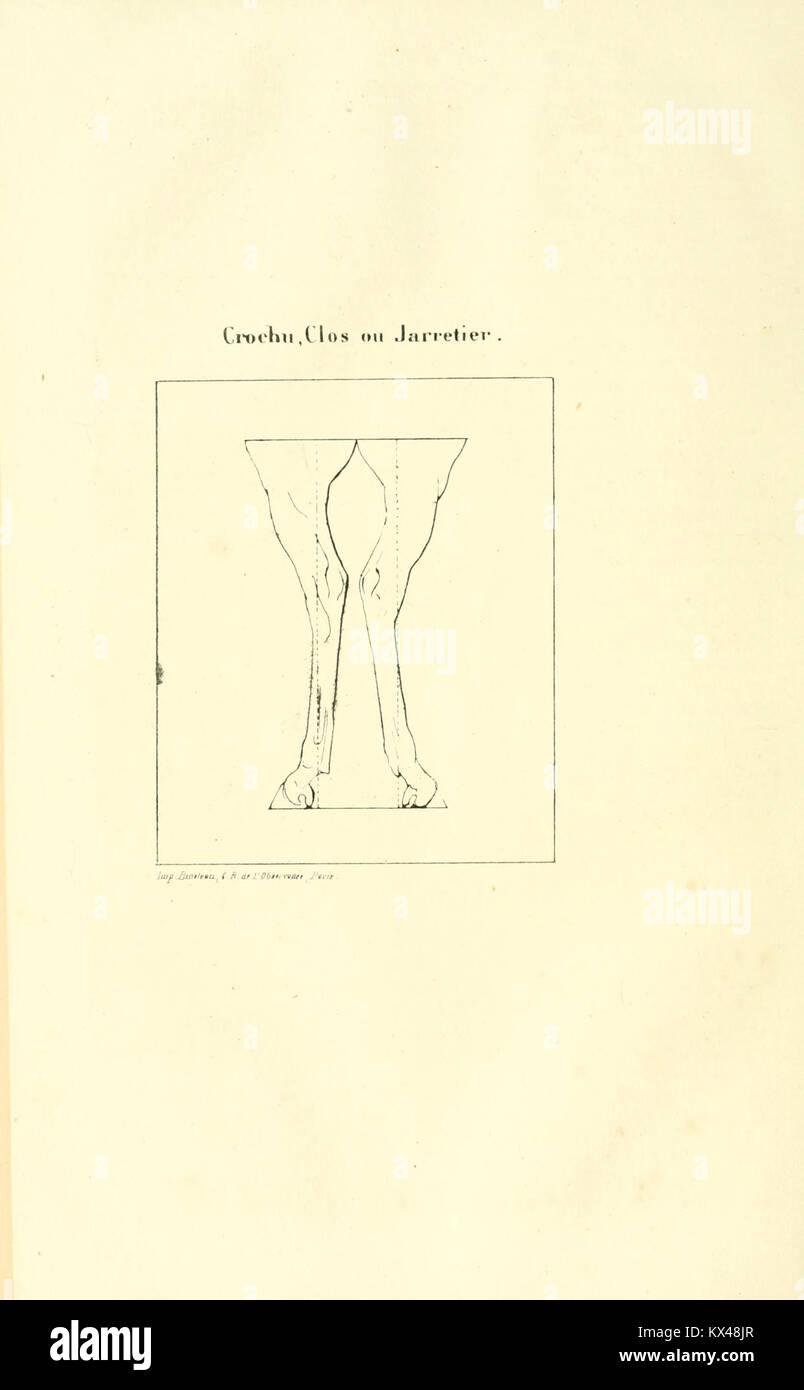 Il Dictionnaire d'Hippiatrique et d'Équitation è un riferimento in materia di medicina equestre, cura dei cavalli, scienza veterinaria e equitazione, utile per lo studio delle pratiche equine storiche e contemporanee. Foto Stock