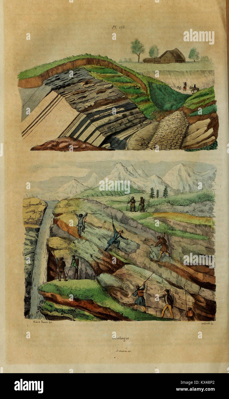 Questa illustrazione del "Dictionnaire pittoresque d'histoire naturelle" fornisce una visione dettagliata dei fenomeni naturali, sottolineando la bellezza e la complessità del mondo naturale come raffigurato nell'arte scientifica. Foto Stock