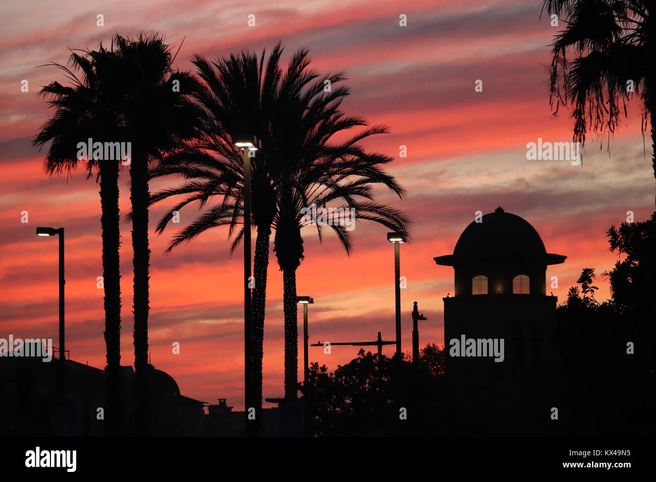 Quattro grandi palme stagliano contro un drammatico rosa e arancio cloud-riempito il cielo alla fine di una giornata invernale in California, un edificio a cupola,le luci vicino Foto Stock