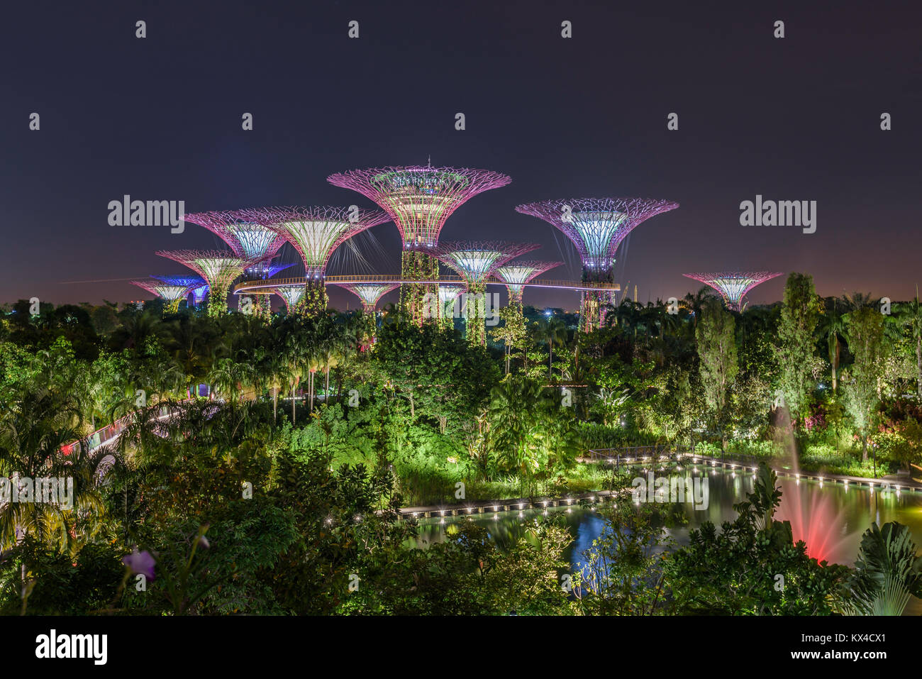 Giardini della baia illuminata di notte. Sullo sfondo la OCBC Skyway e Supertree Grove. In primo piano il lago di libellula. Singapore, Marzo 2017 Foto Stock