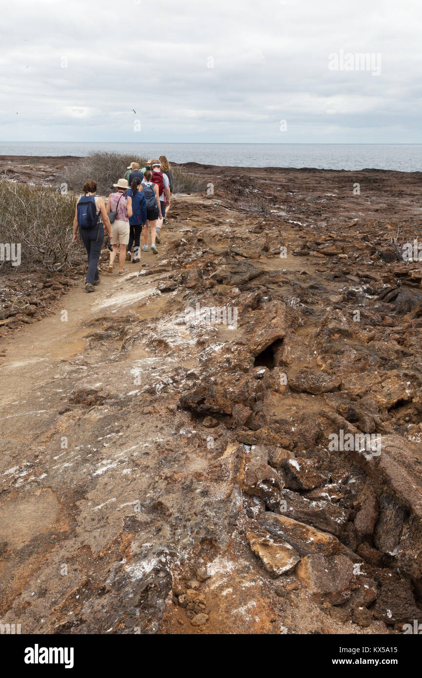 La gente che camminava sul isola Genovesa come parte di un tour guidato, Isole Galapagos Ecuador America del Sud Foto Stock