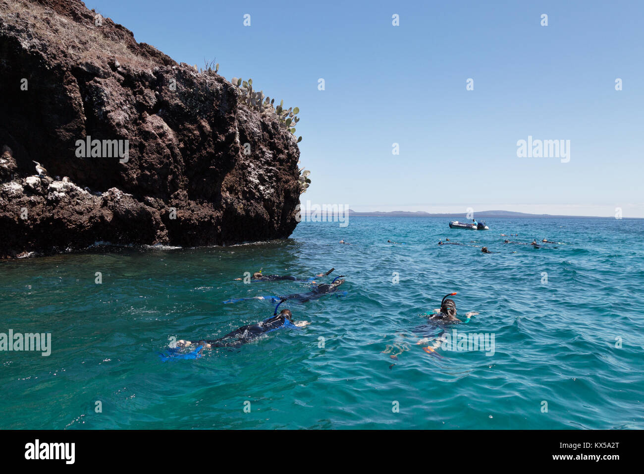 I turisti lo snorkeling, l'isola di Rabida, Isole Galapagos Ecuador America del Sud Foto Stock