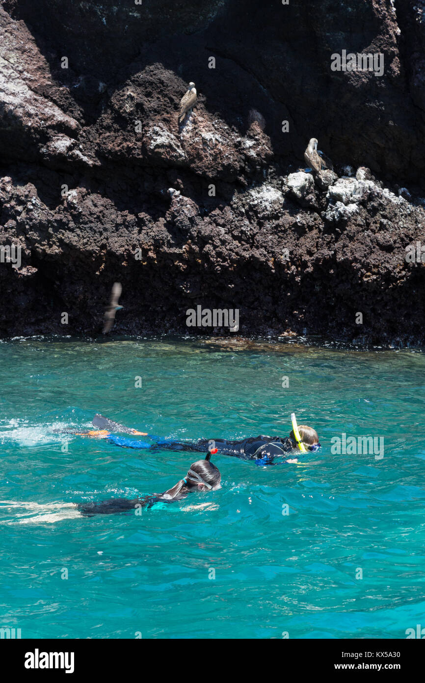 I turisti lo snorkeling, l'isola di Rabida, Isole Galapagos Ecuador America del Sud Foto Stock