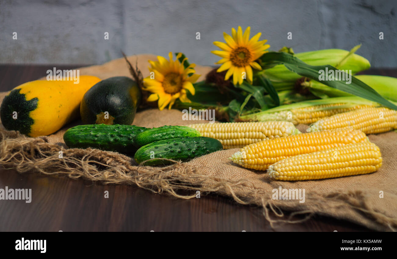 Il mais e i cetrioli giacciono sul panno ruvido e un dolce sottofondo di mais verde, fiori di zucca e semi di girasole Foto Stock