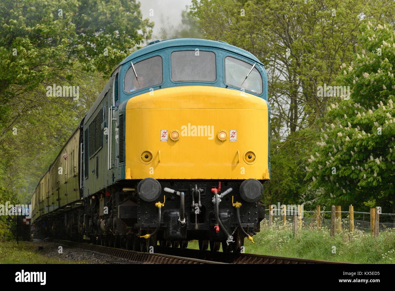 Inglese locomotiva diesel classe 45 Foto Stock