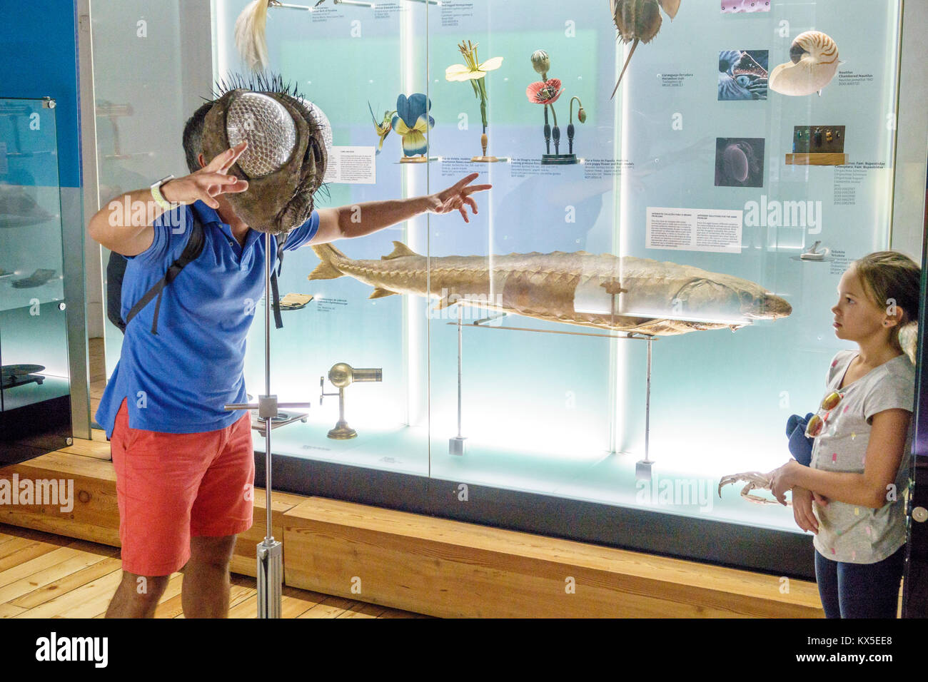 Coimbra Portugal,Università di Coimbra,Universidade de Coimbra,Museu da Ciencia,Museo della Scienza,Storia Naturale,mostra collezione esemplari Foto Stock