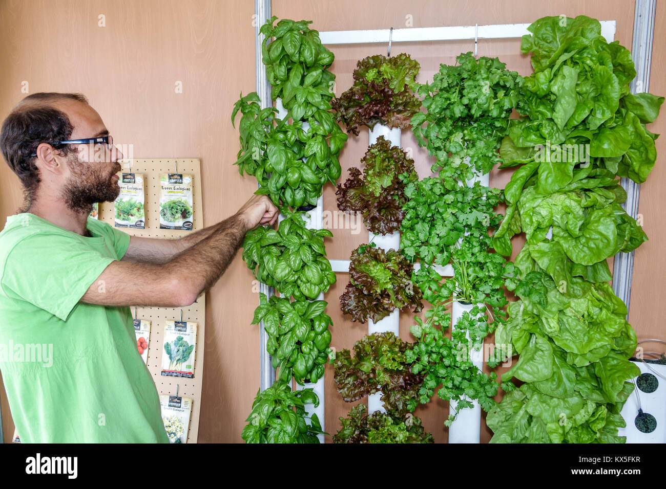 Porto Portogallo,Jardins do Palacio de Cristal,Crystal Palace Gardens,CidadeMais,sostenibilità verde,agricoltura urbana,giardino idroponico,lattuga,basilico, Foto Stock
