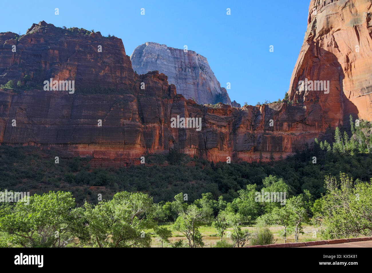 Formazioni montuose lungo il sentiero escursionistico in Canyon Zion Foto Stock