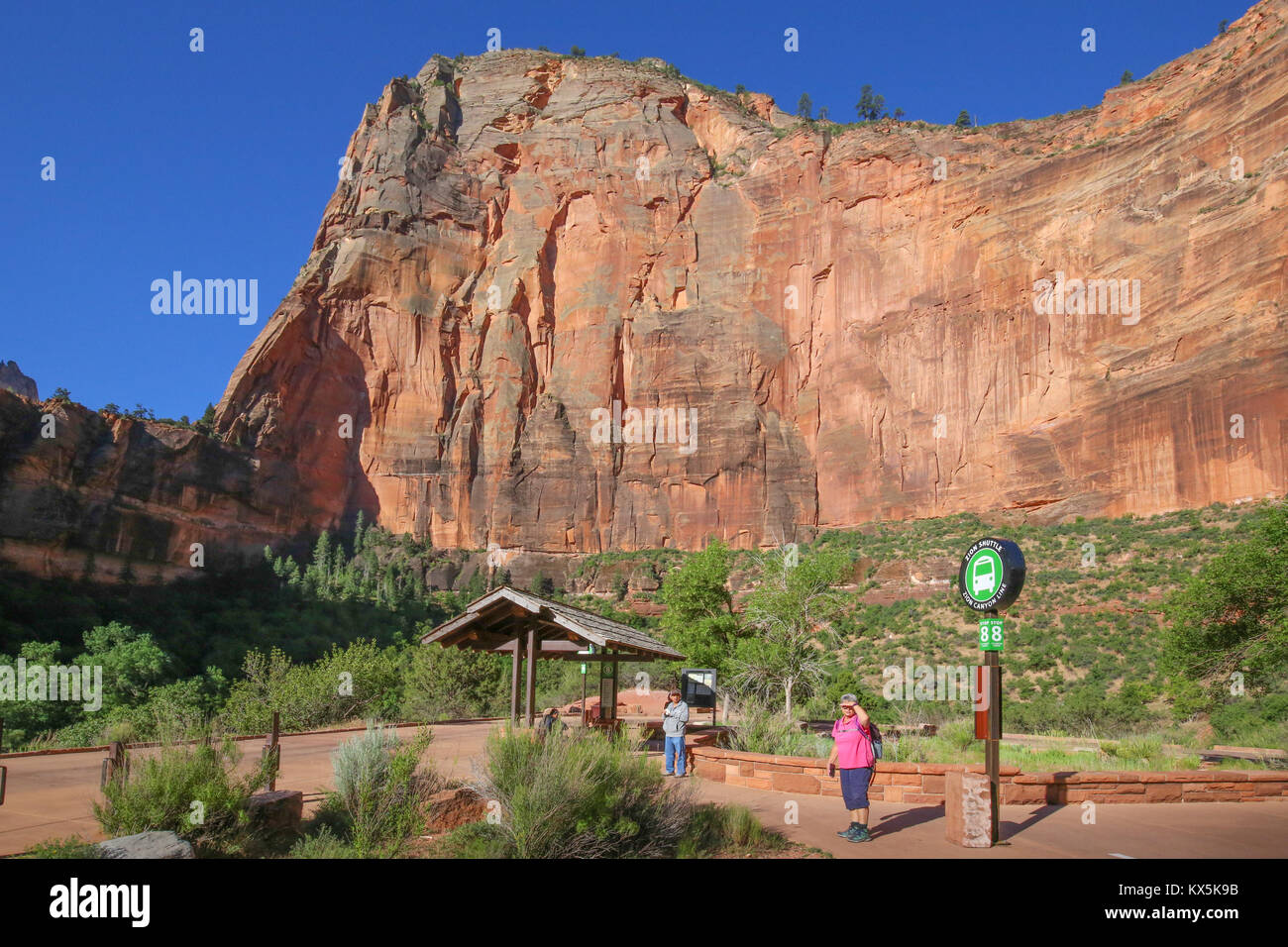 Formazioni montuose lungo il sentiero escursionistico in Canyon Zion Foto Stock