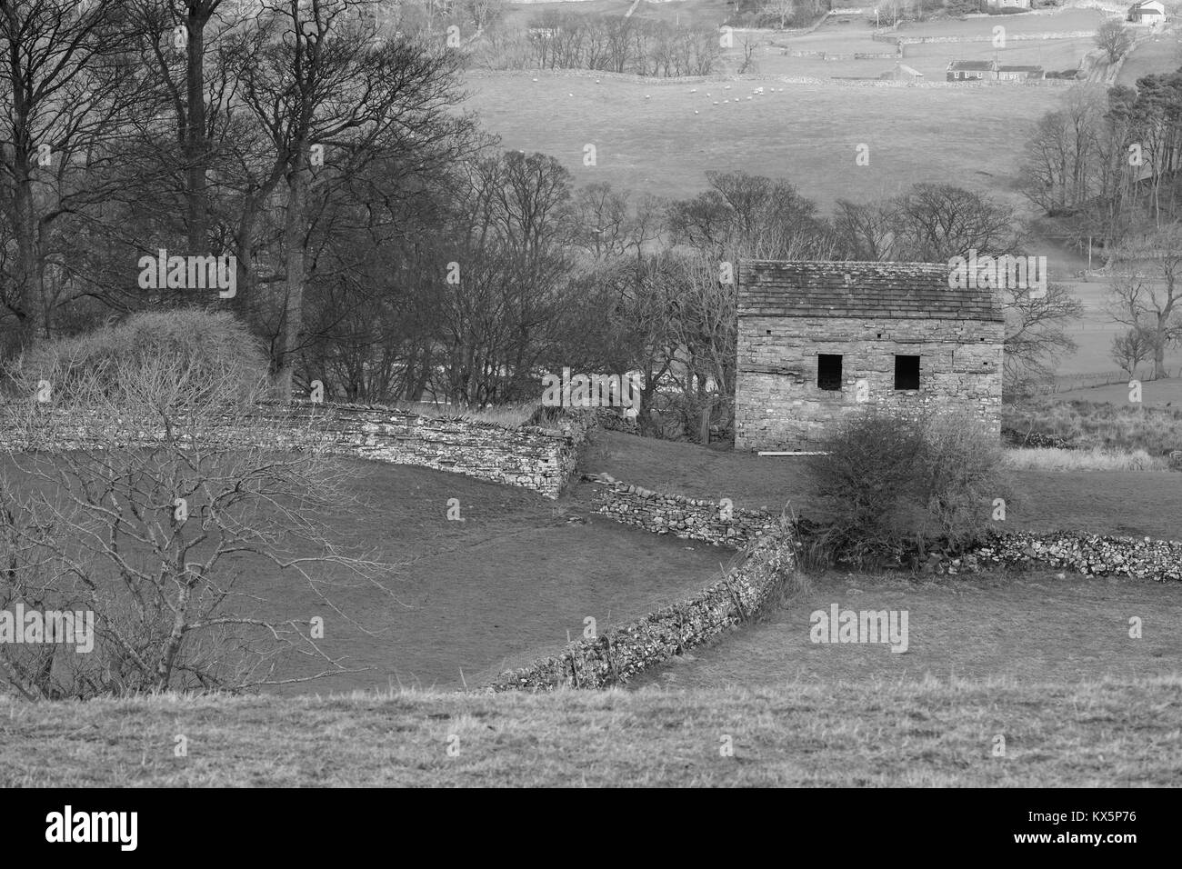 Yorkshire Dales paesaggio Foto Stock