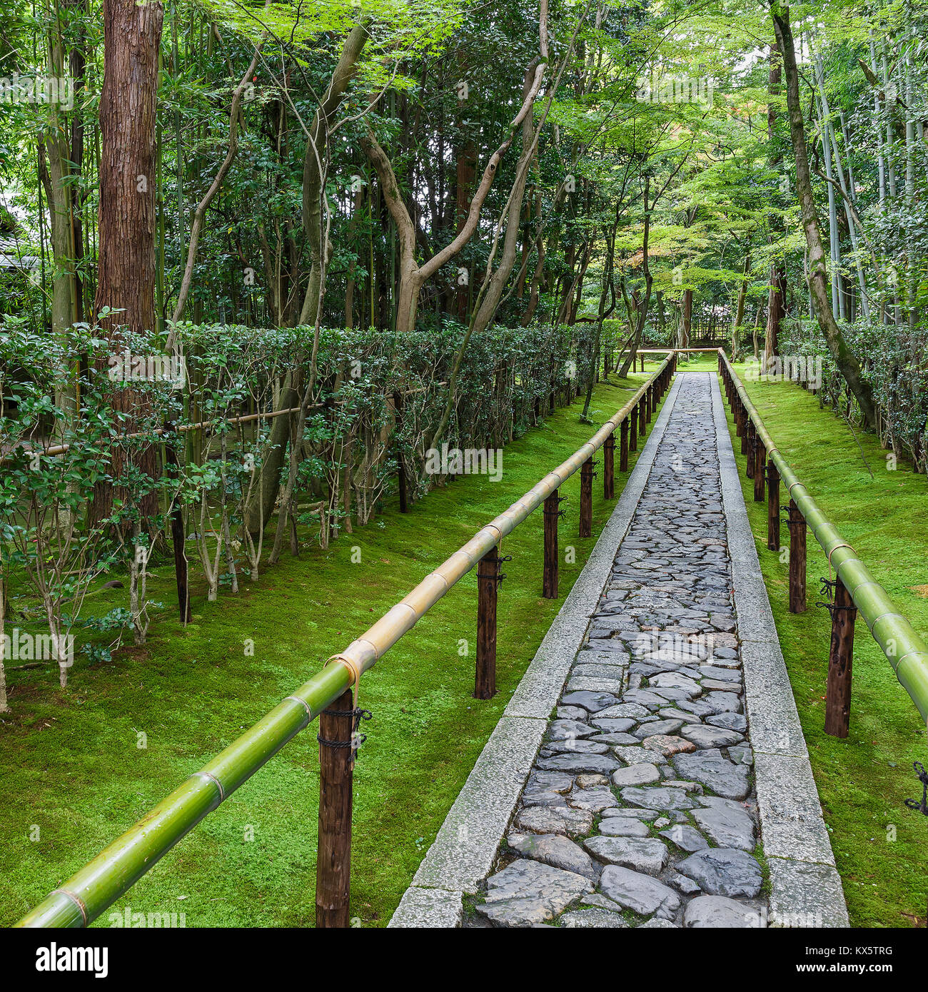 Koto-nel tempio di Kyoto, Giappone KYOTO, Giappone - 22 ottobre: Koto-nel tempio di Kyoto, Giappone il 22 ottobre 2014. Uno dei sub Daitokuji templi, fondato io Foto Stock