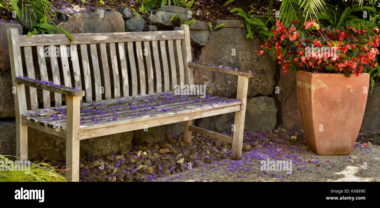 Cerca rustico panca di legno ricoperto di fiori viola, Sunshine Coast, Queensland, Australia Foto Stock