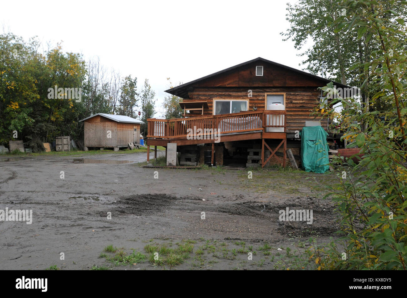 La galena, AK - Discepoli di Cristo e uniti Methodist volontari lavorano dentro la casa Paddy Nollner, la cui casa è stata danneggiata dalle inondazioni a molla. Alaska ha sofferto gravi inondazioni lungo il fiume di Yukon nel maggio e giugno dopo una più lunga del normale inverno e un rapido aumento della temperatura. Un fiume di ghiaccio si è verificato un inceppamento vicino a Galena che ha provocato inondazioni e di vasta diffusione dei danni da acqua alta e grandi lastre di ghiaccio. Locali, statali e federali di organismi di volontariato continuare per la definizione delle priorità delle riparazioni per gli attuali residenti di ricovero per ridurre la necessità di ricovero invernale. - In Galena, AK. Foto Stock