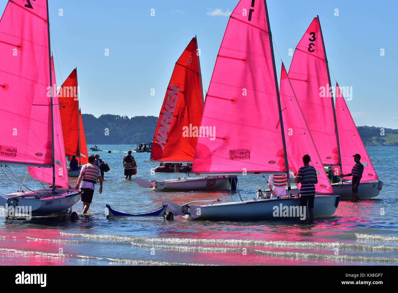 Gli equipaggi lancio di vetroresina racing derive con rosa e rosso vele di mano di rimorchi in acque poco profonde prima della gara. Foto Stock